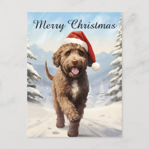 Lagotto Romagnolo jul Helg Vykort