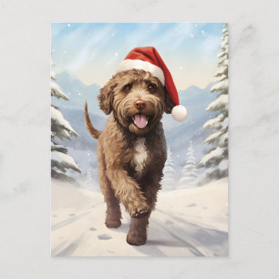Lagotto Romagnolo jul Helg Vykort