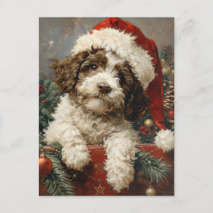 Lagotto Romagnolo jul Vykort