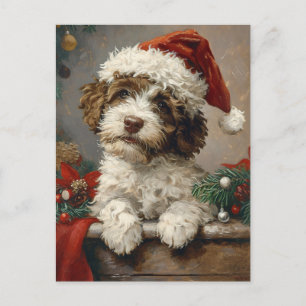 Lagotto Romagnolo jul Vykort