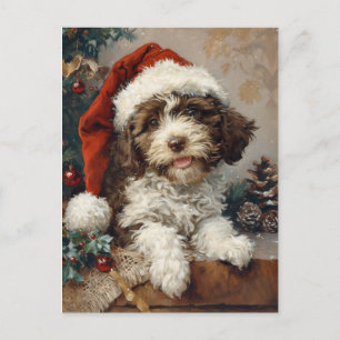 Lagotto Romagnolo jul Vykort