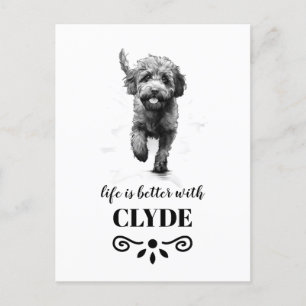Lagotto Romagnolo Life är bättre Anpassningsbar Hu Vykort