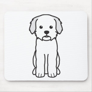 Lagotto Romagnolo Musmatta