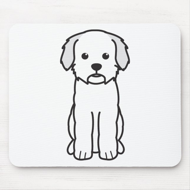 Lagotto Romagnolo Musmatta (Framsidan)