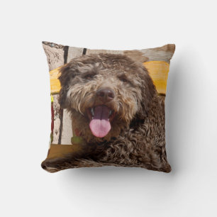 Lagotto Romagnolo som ligger på en träbänk Kudde