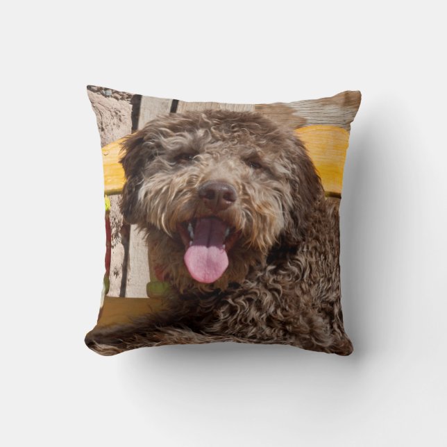 Lagotto Romagnolo som ligger på en träbänk Kudde (Framsida)