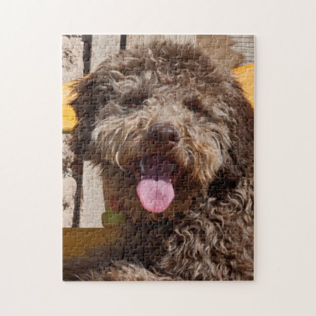 Lagotto Romagnolo som ligger på en träbänk Pussel (Vertikal)