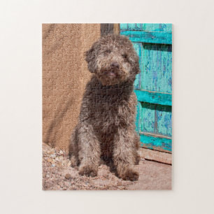 Lagotto Romagnolo som väntar vid en blå dörr Pussel