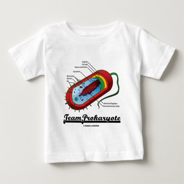 LagProkaryote (bakterier) Tee (Framsida)