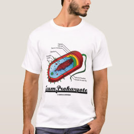 LagProkaryote (bakterier) Tee