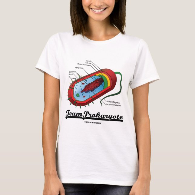 LagProkaryote (bakterier) Tee (Framsida)