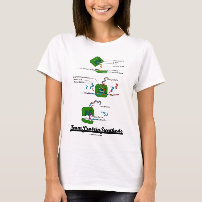 Lagproteinsyntes (biologi) tröja (Framsida)