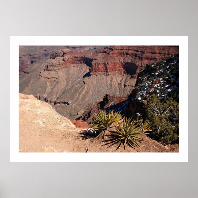 Lagrad jord poster (Framsidan)