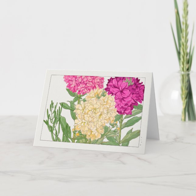 Lagrar av Tanigami Konan Kort (Framsida)