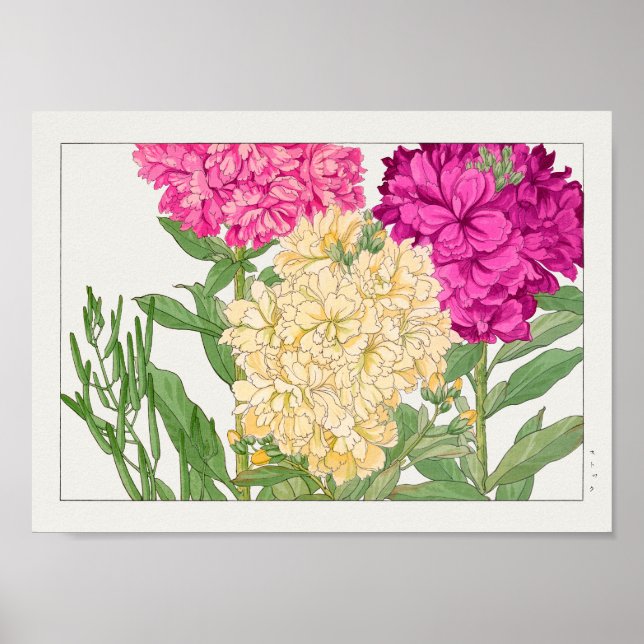 Lagrar av Tanigami Konan Poster (Framsidan)