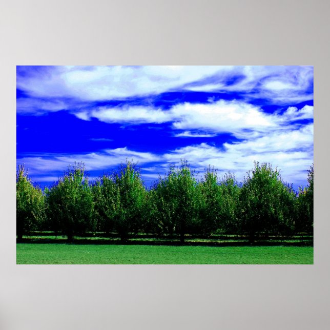 Lagrar Poster (Framsidan)