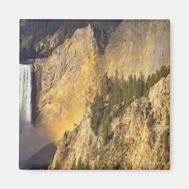Lägre fall i Grand Canyon av Magnet (Framsidan)