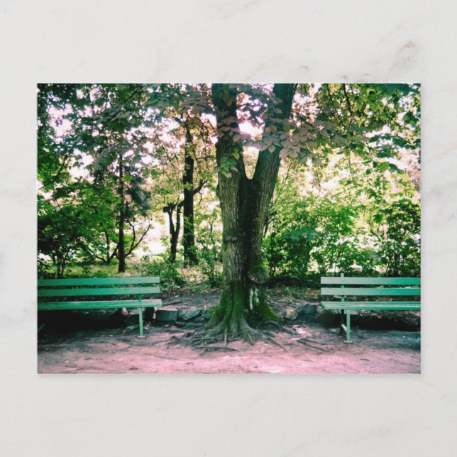 Lägre vykort (Framsida)