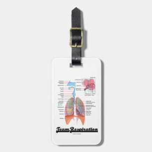 LagRespiration (det respiratoriska systemet) Bagagebricka