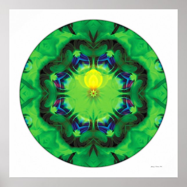 Lagring Mandala 3 Poster (Framsidan)