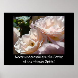 Lagring underskattar aldrig effekten av poster