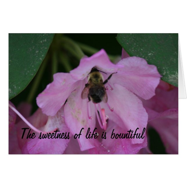 Lagringskort Hälsningskort (Framsidan Horizontal)