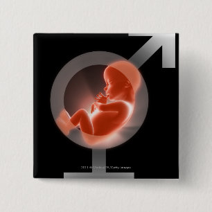 Lagt över foster över male och kvinnliga symbole knapp