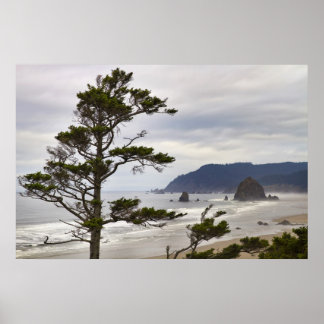 Lågtid vid kusten i Oregon Pacific Ocean Poster