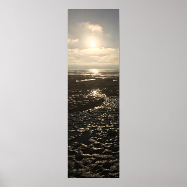 Lågtid vid La Jolla Poster (Framsidan)