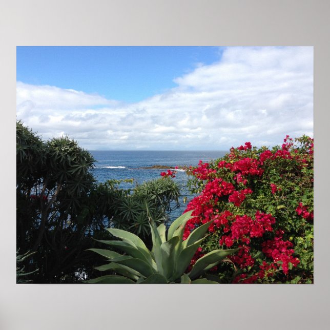 Laguna Beach Ocean View Poster (Framsidan)