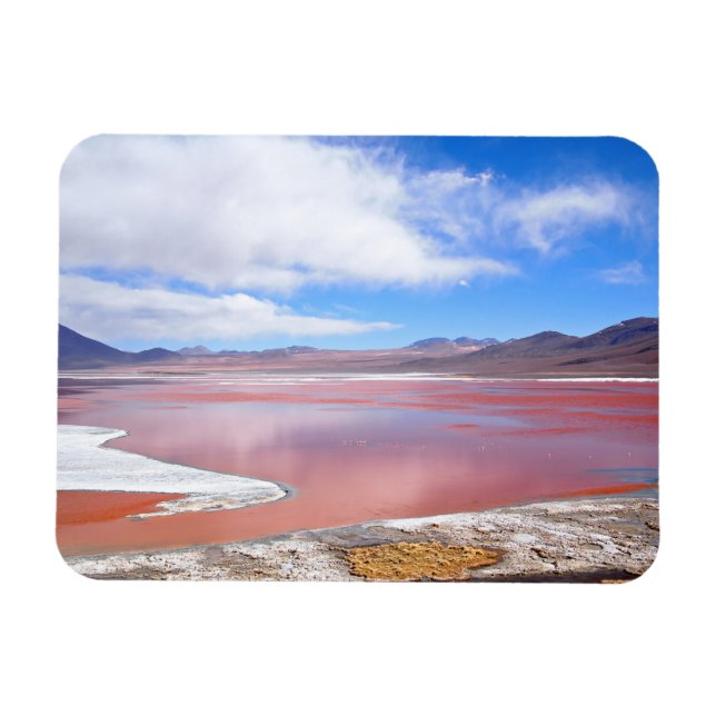 Laguna Colorada i Bolivia Magnet Rectangle (Horisontell)