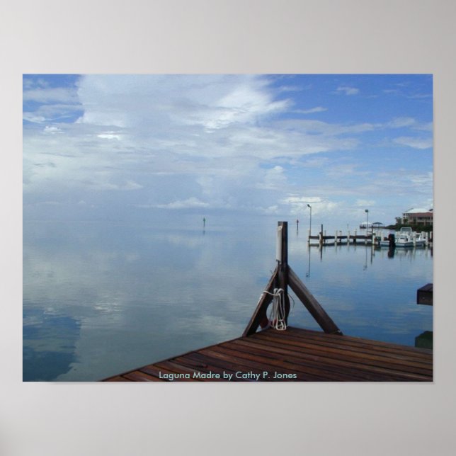 Laguna Madre Poster (Framsidan)