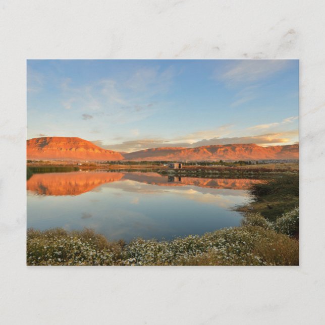 Laguna Nimez solnedgång, El Calafate Vykort (Framsida)