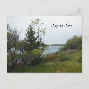 Laguna Sjö, San Luis Obispo, efter Rain Vykort
