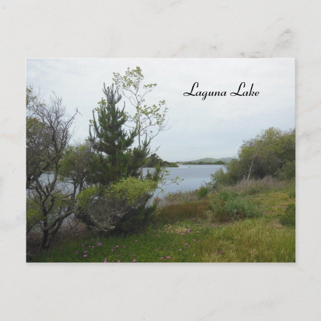 Laguna Sjö, San Luis Obispo, efter Rain Vykort (Framsida)
