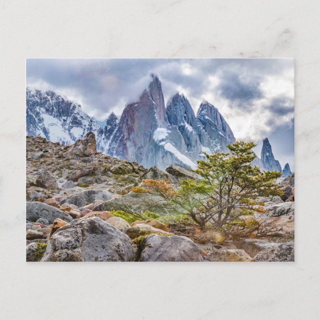 Laguna Torre El Chalten Argentina Vykort (Framsida)