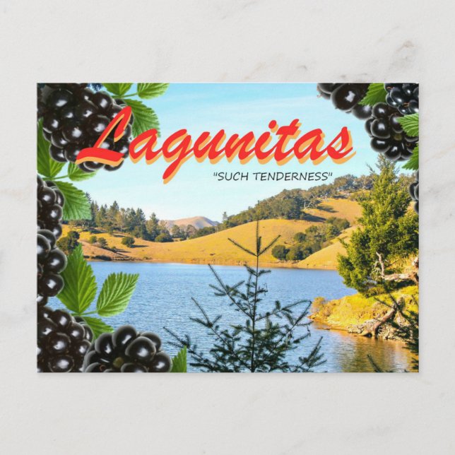 Lagunitas, "Sådan turdhet" (Hass, ta 2) Vykort (Framsida)