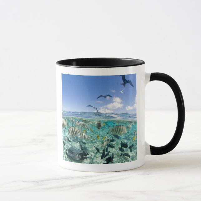 Lagunsafaritur med rockor mugg (Höger)