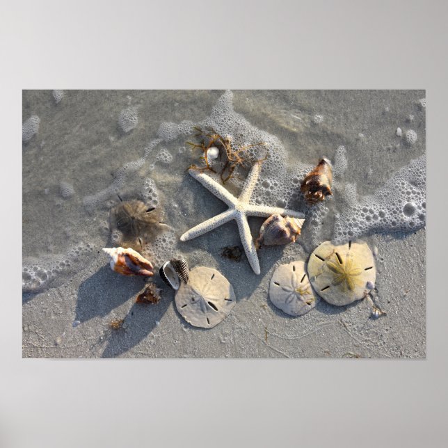 Lågvatten Skattar på Stranden Poster (Framsidan)