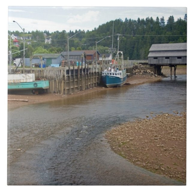 Lågvatten vid Bay of Fundy i St. Martins, New Kakelplatta (Framsidan)