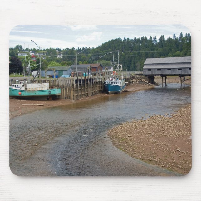 Lågvatten vid Bay of Fundy i St. Martins, New Musmatta (Framsidan)
