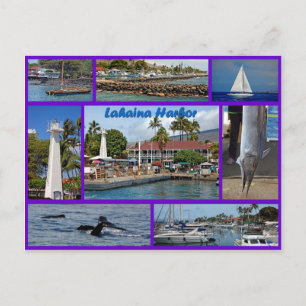 Lahaina Harbour Vykort