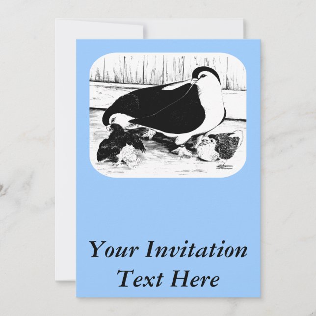 Lahore Pigeons 1980 Inbjudningar (Framsida)