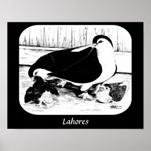 Lahores 1980 poster