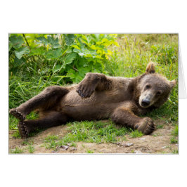 Laid Back Bear Hälsningskort