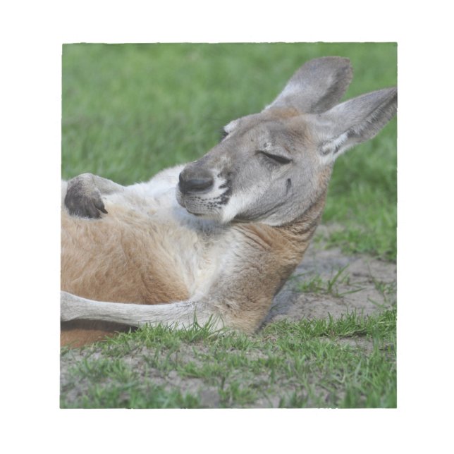 Laid-back Kangaroo Anteckningsblock (Framsida)