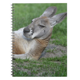 Laid-back Kangaroo Anteckningsbok