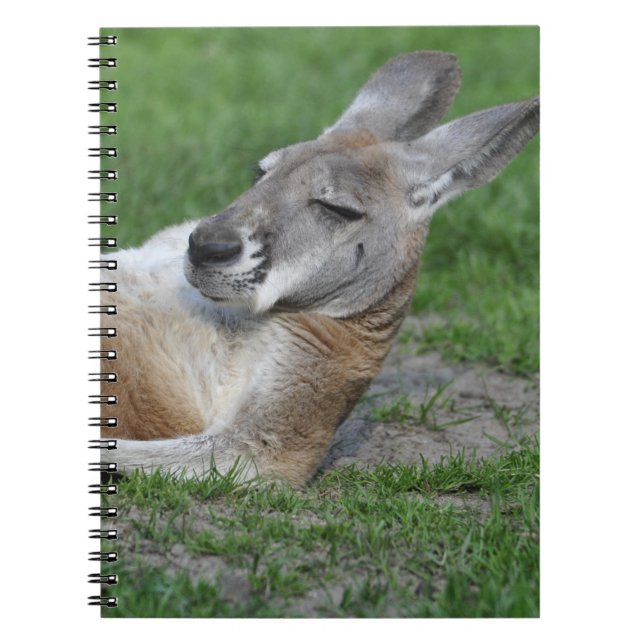 Laid-back Kangaroo Anteckningsbok (Framsidan)