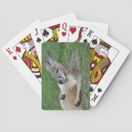 Laid-back Kangaroo Casinokort