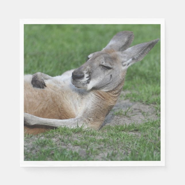 Laid-back Kangaroo Pappersservett (Framsidan)